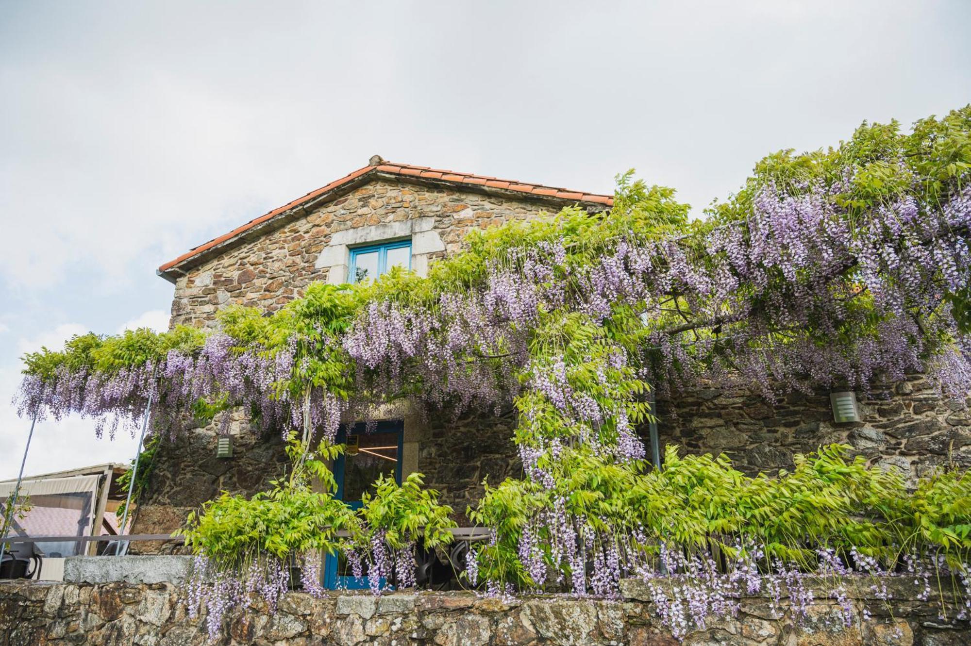 Casa De Amancio Hotel Lavacolla Eksteriør billede